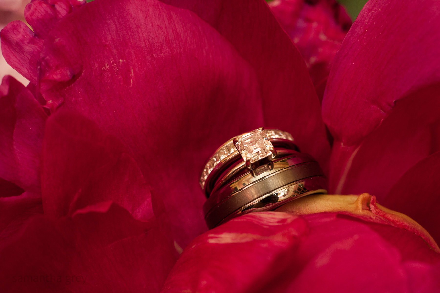 Beth+Eric-SamanthaGrey-44